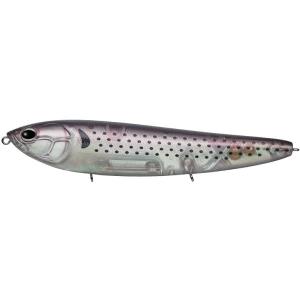 アマゾン エバーグリーン フラッシュコノシロ