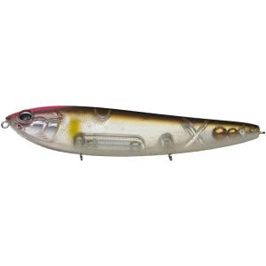 アマゾン エバーグリーン ピンクヘッドフラッシュアユ