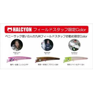 ペニーサック初代 九州フィールドスタッフお勧め限定カラー ハルシオンシステム / ネコポス便OK