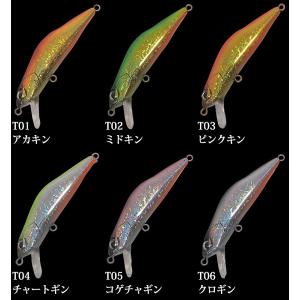アイビーライン ハードストリームス T-Gravits ティーグラヴィッツ
