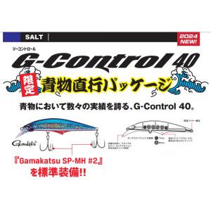 ジャクソン Gコントロール 28g WHE ヒラメのエサ : フィッシング