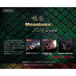 メガバス TYPE-X セット3 Megabass メガバス タイプX Megabass Type-X : 松本釣具店Yahoo