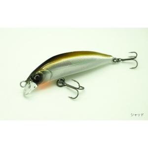 レイチューン SA50RS シャッド / ネコポス便