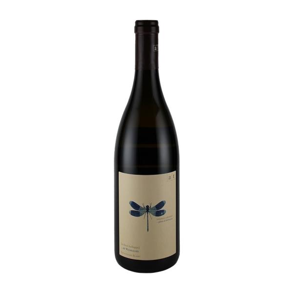 アンドレアス・ツェッペ  ブラワー・リベル（青トンボ）2022 ANDREAS TSCHEPPE B...