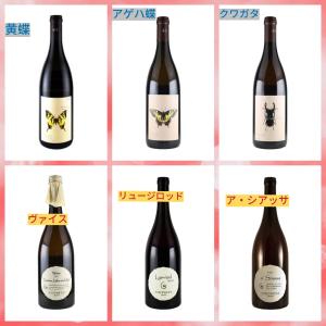 アンドレアス・ツェッペ　ミニドリームbox2022