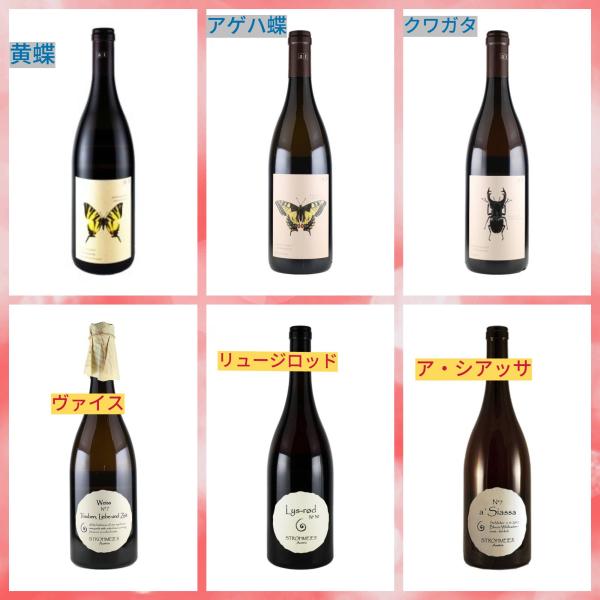 アンドレアス・ツェッペ　ミニドリームbox2022