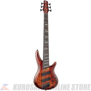 Ibanez SRMS806-BTT 【送料無料】(ご予約受付中)｜tiptoptone