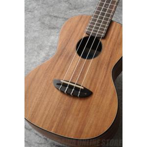 《期間限定！ポイントアップ！》aNueNue Ukulele Classic Koa II [Aqua-CK2] (コンサートウクレレ)(マンスリープレゼント)(ご予約受付中)｜tiptoptone