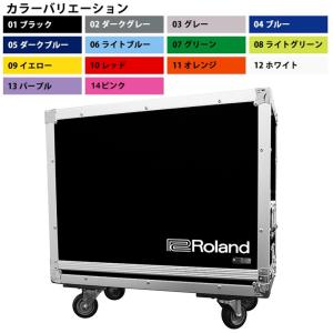 《期間限定！ポイントアップ！》Roland TB-BCART Blues Cube Artist用ハードケース (受注生産品)《ロゴの有無/カラーをお選び下さい》｜tiptoptone