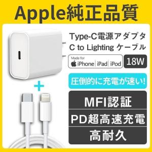 1mケーブル+USB-C電源アダプタiphone12 PD充電器 20Wアダプタ タイプC 変換アダプター PD急速充電 TypeC充電アダプター｜tira-larma