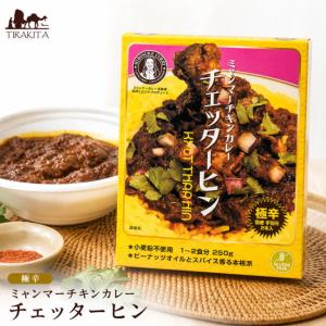 ミャンマー ミャンマーカレー レトルトカレー 極辛 (極辛)ミャンマーチキンカレー