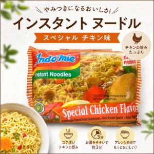 チキンラーメン インドネシア料理 インスタント ...の商品画像
