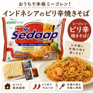 インドミー 激辛ミーゴレン 80g 40袋セット 1ケース インスタント麺