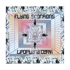 ユーロビート 六次元音 SUOMI スオミトランス Flying Scorpions Lipoptena Cervi suomi 6d soundz｜tirakita-shop