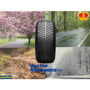 グッドイヤー（GOODYEAR） オールシーズンタイヤ Vector 4 Seasons
