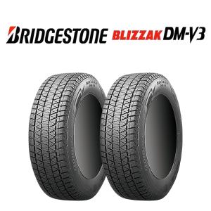 ブリザック DMーV3 2026年製 新品 2本価格 225/55R18 98T 冬 BS