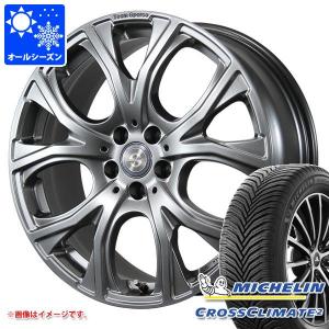 VW ティグアン 前モデル用 オールシーズンタイヤ ミシュラン クロスクライメート2 255/40R19 100Y XL チームスパルコ ベネージュ｜tire1ban