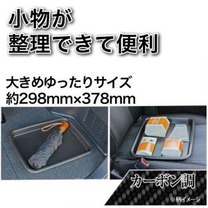 マルチトレイ カーボン調 整理に最適 マルチタイプ 靴置き 小物 収納 便利グッズ 車 カーアクセサリー ナポレックス FIZZ-1094｜tireshop4u