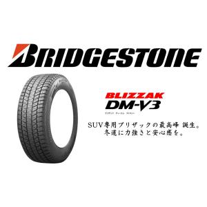 225/60R18 スタッドレスタイヤ 13インチ ブリヂストン ブリザック DM-V3 4本セット 1台分 新品 正規品｜tireshop