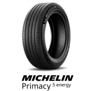 エナセーブ 195/60R17 90H ダンロップ EC300＋ ライズ 新車装着タイヤ