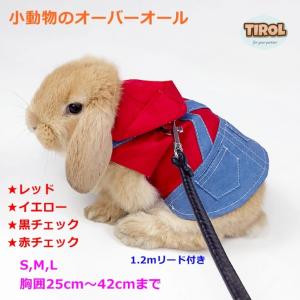 うさぎ用 ハーネス リード セット ウサギ用 小動物用