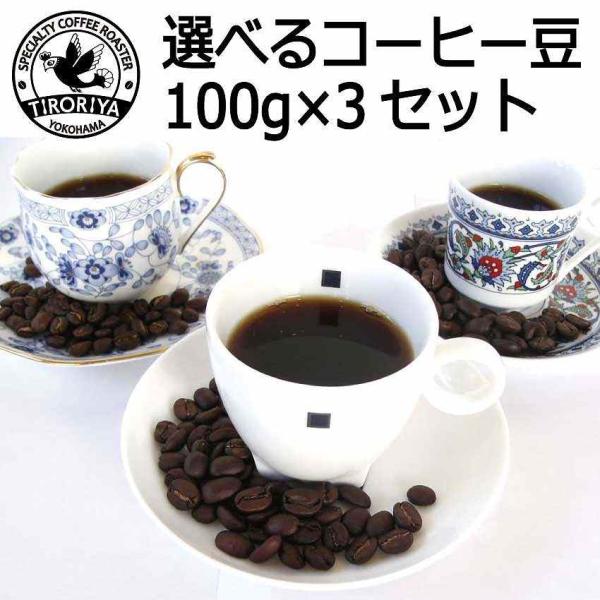 レギュラー コーヒー 豆 選べる 飲み比べセット 100g 3銘柄 合計300g 送料無料 誕生日 ...