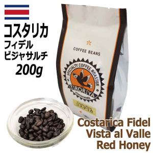 レギュラーコーヒー 豆 コスタリカ ラ・カンデリージャ農園 ハニー