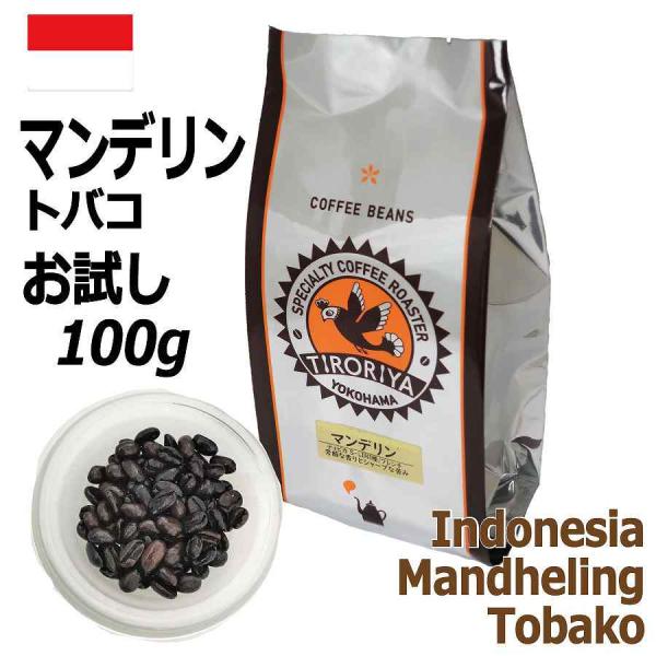 レギュラーコーヒー豆 マンデリン インドネシア トバコ 100g お試し 10杯分 フレンチロースト...