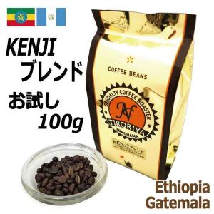 レギュラー コーヒー 豆 KENJIブレンド お試し 100g モカ グァテマラ 配合  自家焙煎 スペシャルティ TIRORIYA COFFEE｜tiroriyacoffee