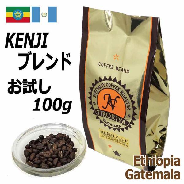 レギュラー コーヒー 豆 KENJIブレンド お試し 100g エチオピアモカ グァテマラ 配合  ...