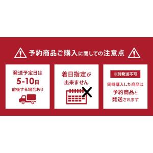 セーフティポーチ 防火ポーチ モバイルバッテリ...の詳細画像1