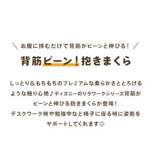 抱き枕 ぬいぐるみ 背筋が伸びる 洗える ディ...の詳細画像1