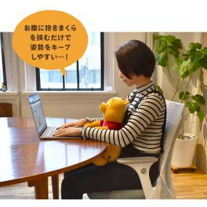 抱き枕 ぬいぐるみ 背筋が伸びる 洗える ディ...の詳細画像2