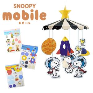 PEANUTS ピーナッツ SNOOPY スヌーピー グッズ 大人 向け