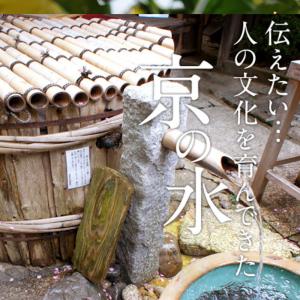 キンシ正宗 蔵元自慢 まろやか塩ぽんず 250...の詳細画像1