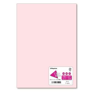 長門屋商店 カラーペーパー ナ-5219 A5中...の商品画像