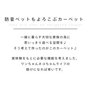 カーペット 6畳 極厚 防ダニ 丸巻保管 抗菌...の詳細画像1