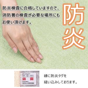 カーペット 江戸間 6畳 絨毯 防炎 抗菌防臭...の詳細画像3