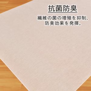 カーペット 江戸間 6畳 絨毯 防炎 抗菌防臭...の詳細画像5
