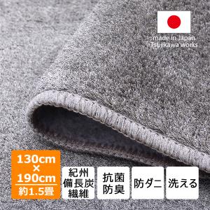 Tsujikawa カーペット ラグ 190 240 紀州備長炭繊維 洗える 防ダニ