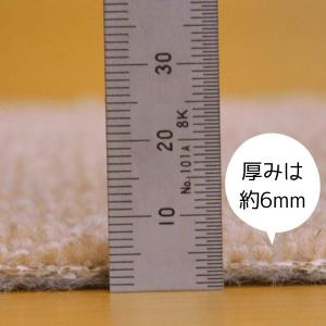 カーペット 6畳 日本製 抗菌防臭 軽量薄手 ...の詳細画像2