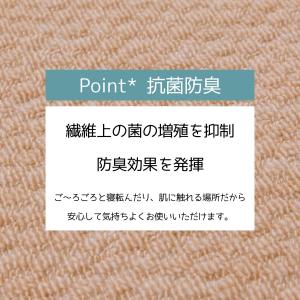 カーペット 6畳 日本製 抗菌防臭 軽量薄手 ...の詳細画像3