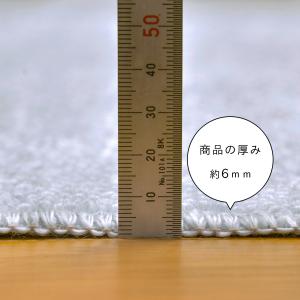 カーペット 6畳 日本製 抗菌防臭 軽量薄手 ...の詳細画像2