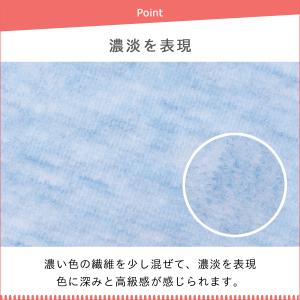 防ダニ カーペット 江戸間 6畳サイズ 日本製...の詳細画像1