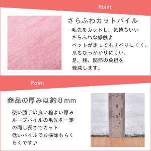防ダニ カーペット 江戸間 6畳サイズ 日本製...の詳細画像2