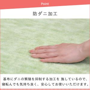 防ダニ カーペット 江戸間 6畳サイズ 日本製...の詳細画像3
