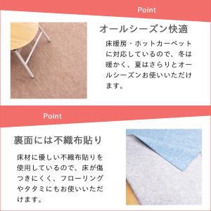 防ダニ カーペット 江戸間 6畳サイズ 日本製...の詳細画像4