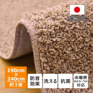 カーペット 190 240 やわらか シャギーラグ 洗える 日本製 防音 ラグシャギー 190×240cm ベージュ 約3畳 辻川産業