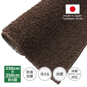 カーペット 250 やわらか シャギーラグ 洗える 洗濯 日本製 防音 ラグシャギー 250×250cm ブラウン 約4畳 辻川産業株式会社
