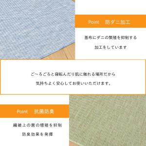 カーペット 6畳 日本製 防ダニ 抗菌防臭 丸...の詳細画像3